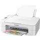 Stampante multifunzione Canon PIXMA TS3151 - Bianco