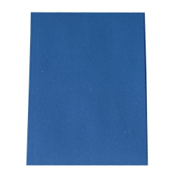 Cartelline semplici Euro-Cart Cartoncino Manilla 25x35 cm - 190 g/mq - azzurro - conf. 100