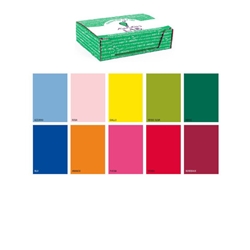 Carta regalo Kartos Kraft Everyday 70x100 cm - conf. 100