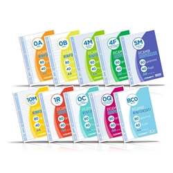 Ricambi rinforzati in PVC Blasetti per quaderni ad anelli A4 - 100 g/m2 - 40 ff 1R - 5444- conf. 30