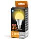 Lampadine LED Aigostar A60 E27 21W luce calda 3000K 312992