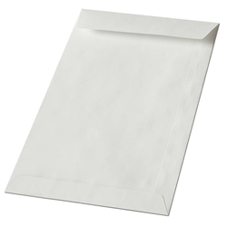 Busta a sacco Blasetti Kraft bianco non gommata 60 g/m2 - conf. 1000