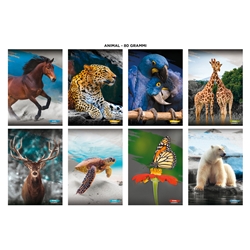 Maxi quaderni Blasetti Animali formato A4  carta 80 g - conf. 10