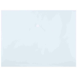 Buste con bottone in PPL ecologico Donau formato A4  trasparente - conf. 12