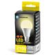 Lampadine LED Aigostar A60 E27 21W luce naturale 4000K 312985