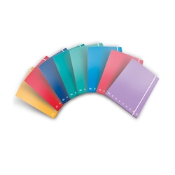 Cartella a 3 lembi con elastico Pigna Monocromo - A4 26x35,5x1,2 cm dorso 1,2 colori assortiti - 0217563- conf. 6