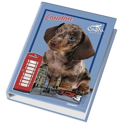 Raccoglitore ad anelli Blasetti - 4 anelli Ø 30 - 26x32 cm per fogli A4 - fantasie assortite Cuccioli - 4170- conf. 6