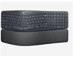 Tastiera Logitech 920-010106