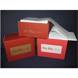 Carta Modulo continuo - Sa.Ba.Cart. - 240 mm x 11 - 60g - azzurro - piste staccabili - conf. 2000