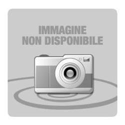 Originale laser Ricoh - developer B2969640 - nero - 821217