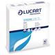 Tovaglioli di carta - Lucart Strong 238 T5 - 2 veli - decorati  - conf. 100