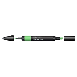 Pennarelli doppia punta Winsor&Newton grass G457 - 0203253