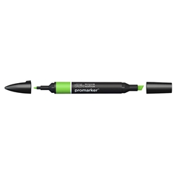 Pennarelli doppia punta Winsor&Newton bright green G267 - 0203069