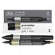 Pennarelli doppia punta Winsor&Newton - argento e oro - conf. 2