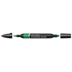 Pennarelli doppia punta Winsor&Newton brush lush green G756 - 0204228