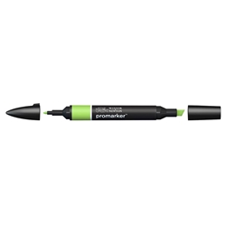 Pennarelli doppia punta Winsor&Newton leaf green G258 - 0203341