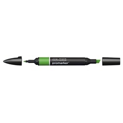 Pennarelli doppia punta Winsor&Newton forest green G356