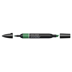Pennarelli doppia punta Winsor&Newton verde pino G635 - 0203244